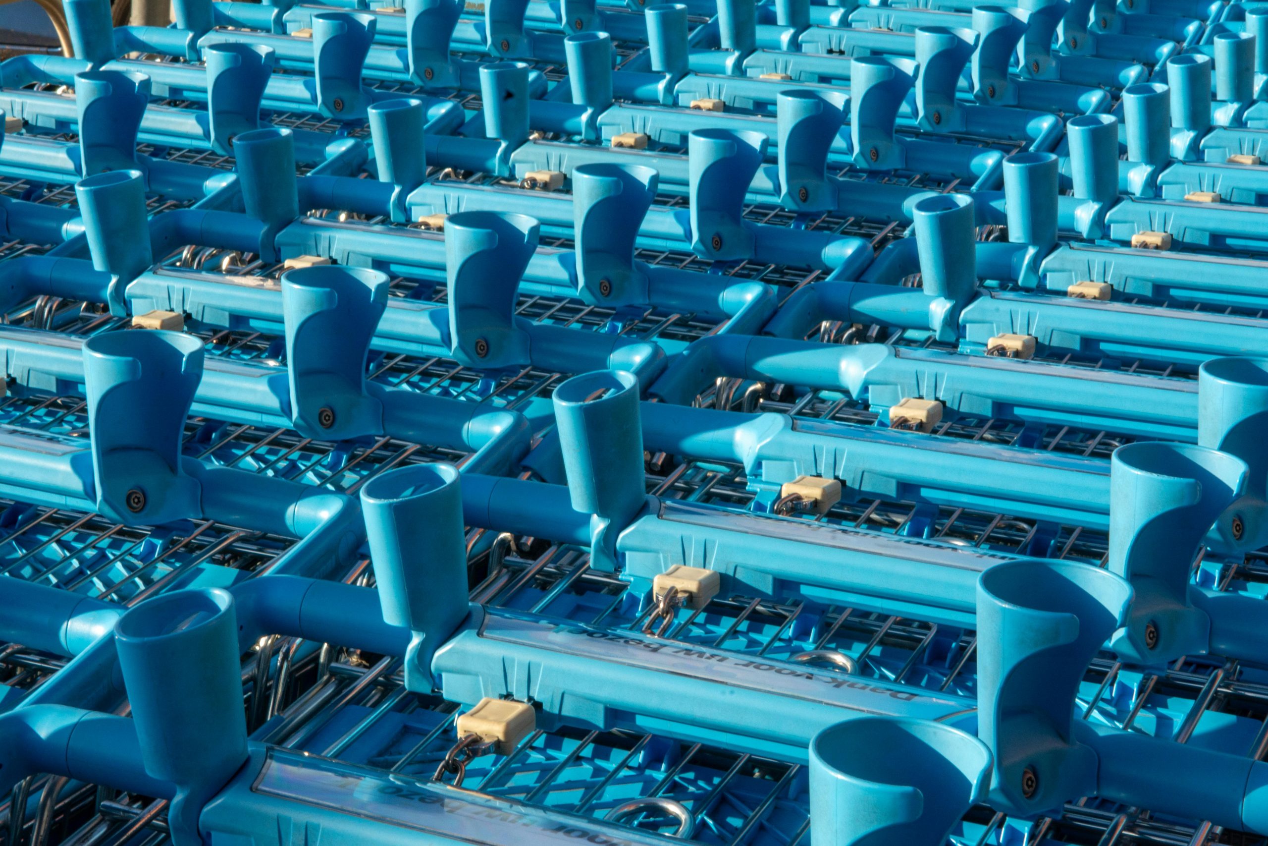 Rows of shopping trolleys.